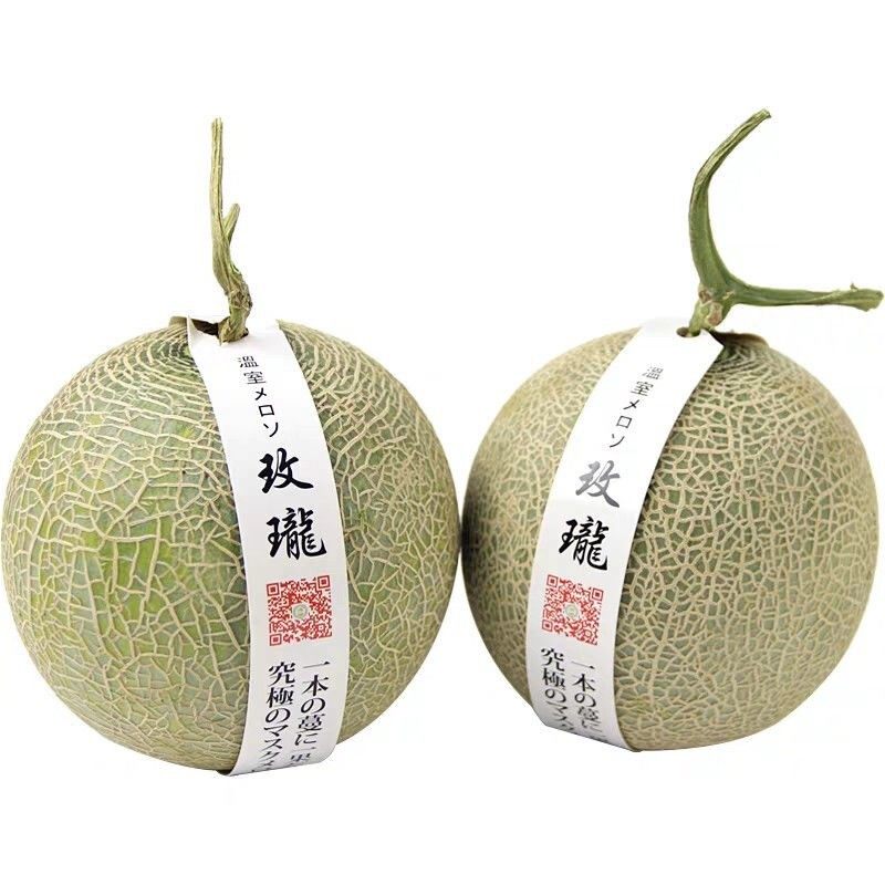探索龙玫艺坊的魔力：走进“龙玫小镇”的艺术世界